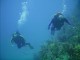 Thumbs/tn_waterphil and sue diving 2.jpg